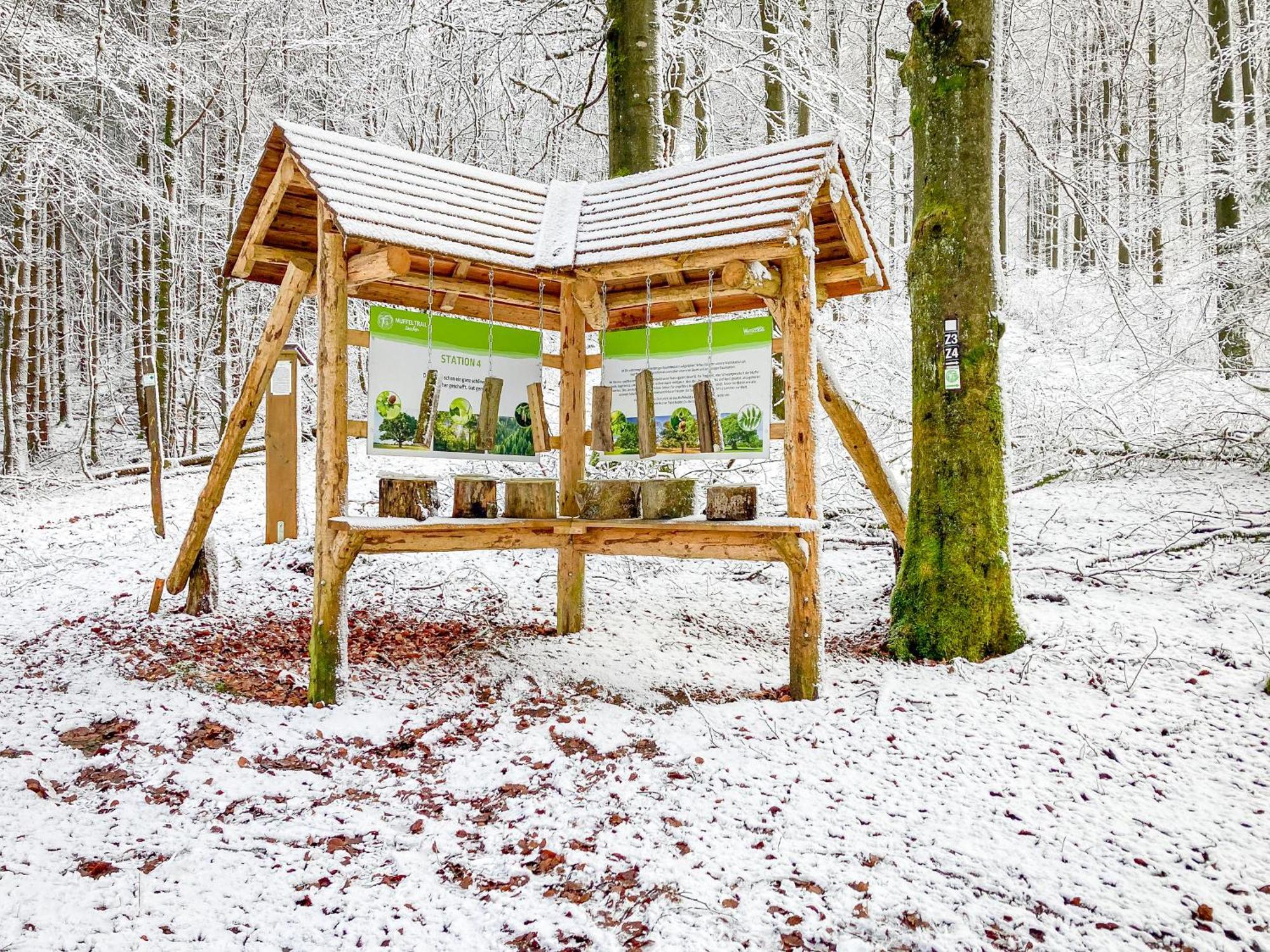Alte Schule Winterberg Luxury Apartments Exterior foto
